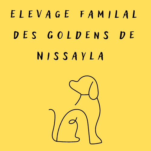 GOLDEN DE NISSAYLA